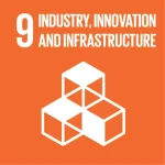 sdg 9